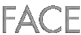 FACE Modelagentur Hamburg